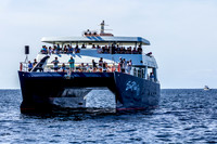 RLG-7
