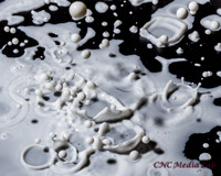 CNC-15